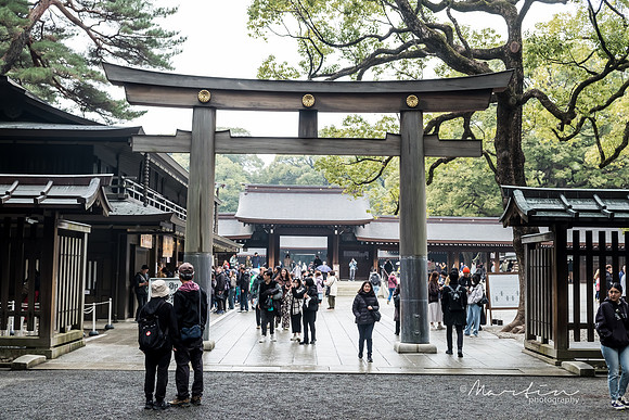 Japan 2025 -1