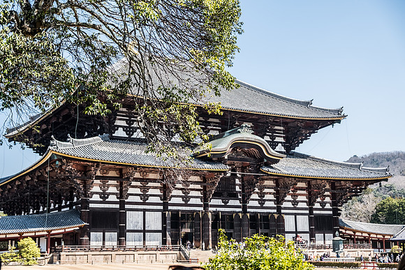 Japan 2025 -389