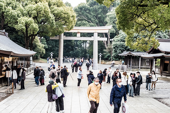 Japan 2025 -7