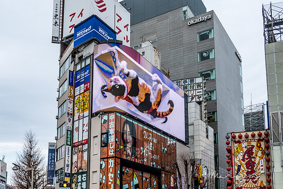 Japan 2025 -71