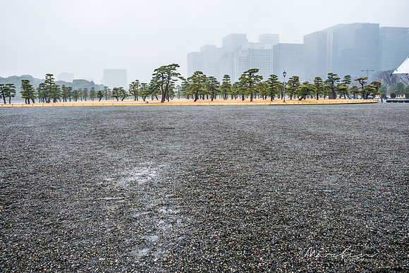 Japan 2025 -26