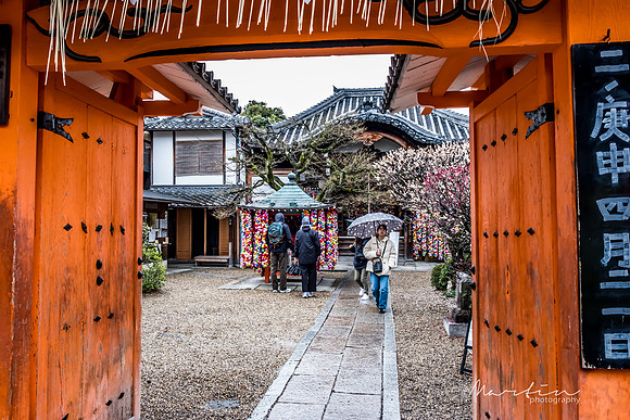 Japan 2025 -157
