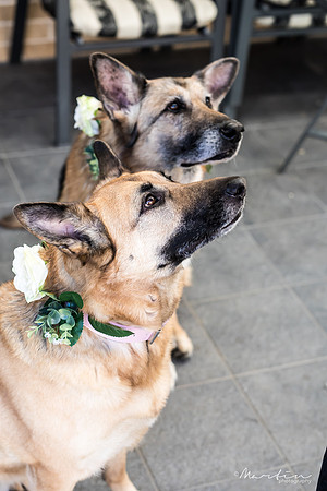Groom L&K-35