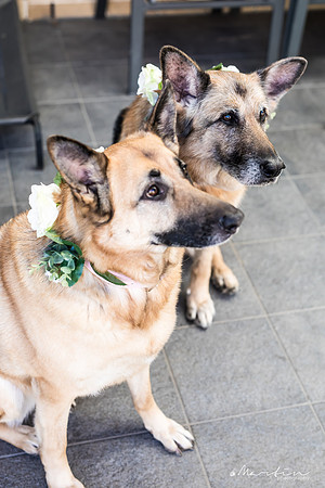 Groom L&K-36