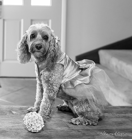 Bride J&G-28