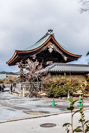 Japan 2025 -194