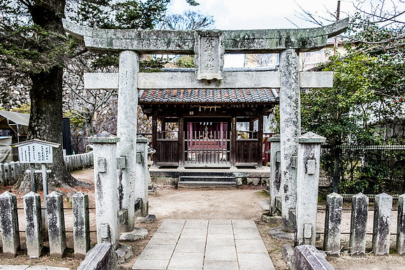 Japan 2025 -307