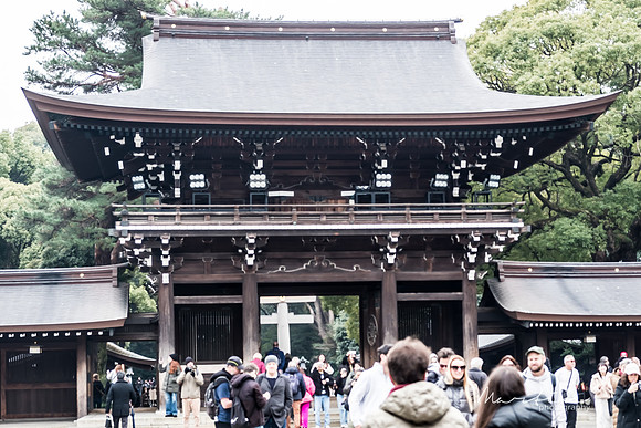 Japan 2025 -6