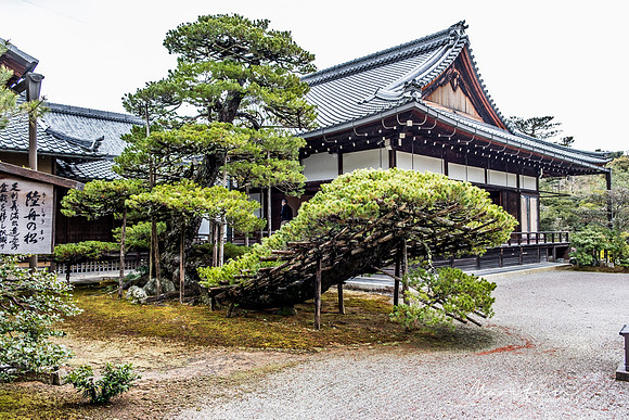 Japan 2025 -172
