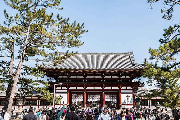 Japan 2025 -388