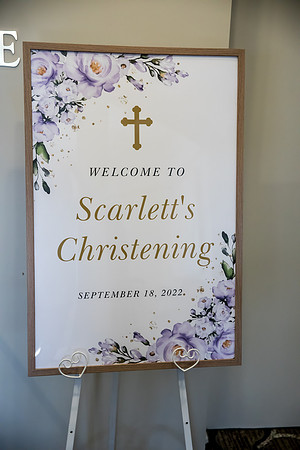 Scarlett-289