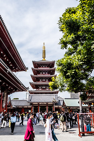 Japan 2025 -42