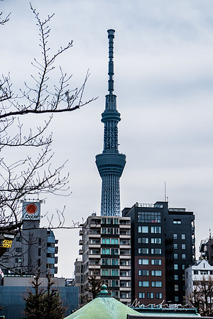 Japan 2025 -53