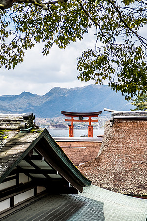 Japan 2025 -305